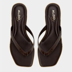 ALDO Theao - Women's Brown Sandals flip flops